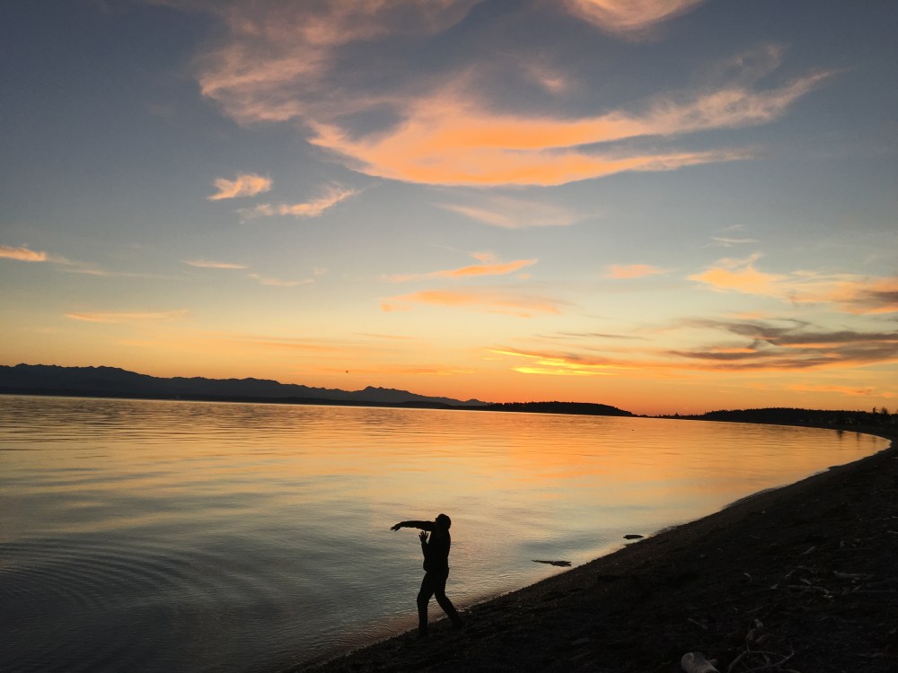 Cran on Whidbey Beach